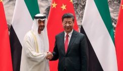 Китай и арабские страны приняли совместное заявление по палестинскому вопросу